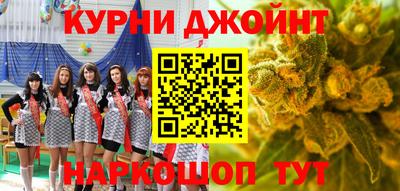 мдпв Ефремов