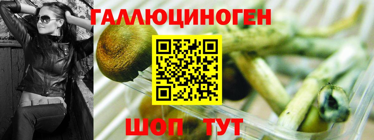 Псилоцибиновые грибы прущие грибы  Вход с VPN  Богородицк  Галлюциногенные грибы Psilocybine cubensis 